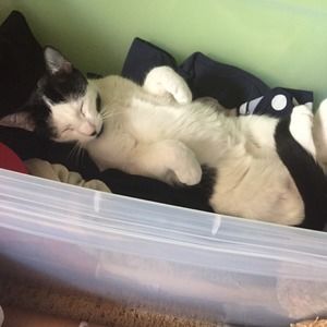 Meet your Posher, Nuora